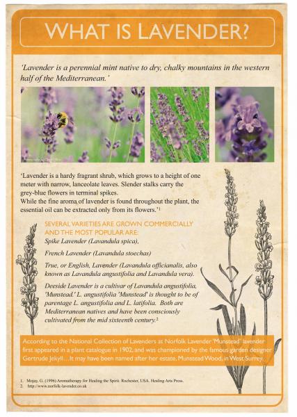 August 2013. The Lavender Project. Poster 2. August 2013. The Lavender Project. Poster 2.