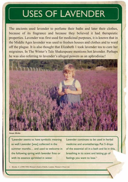 August 2013. The Lavender Project. Poster 3. August 2013. The Lavender Project. Poster 3.